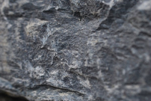 A macro photo of the rough broken edge texture of Devonian rocks quarried at Spittal.