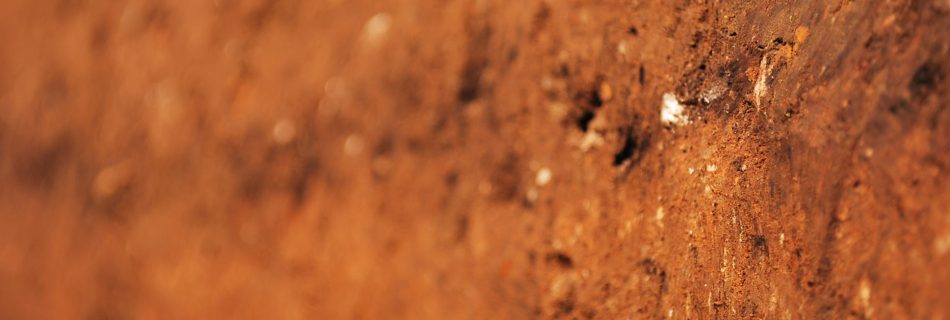 A photo using depth of field across the side wall of an archaeological trench, showing scattered objects in dark earth.