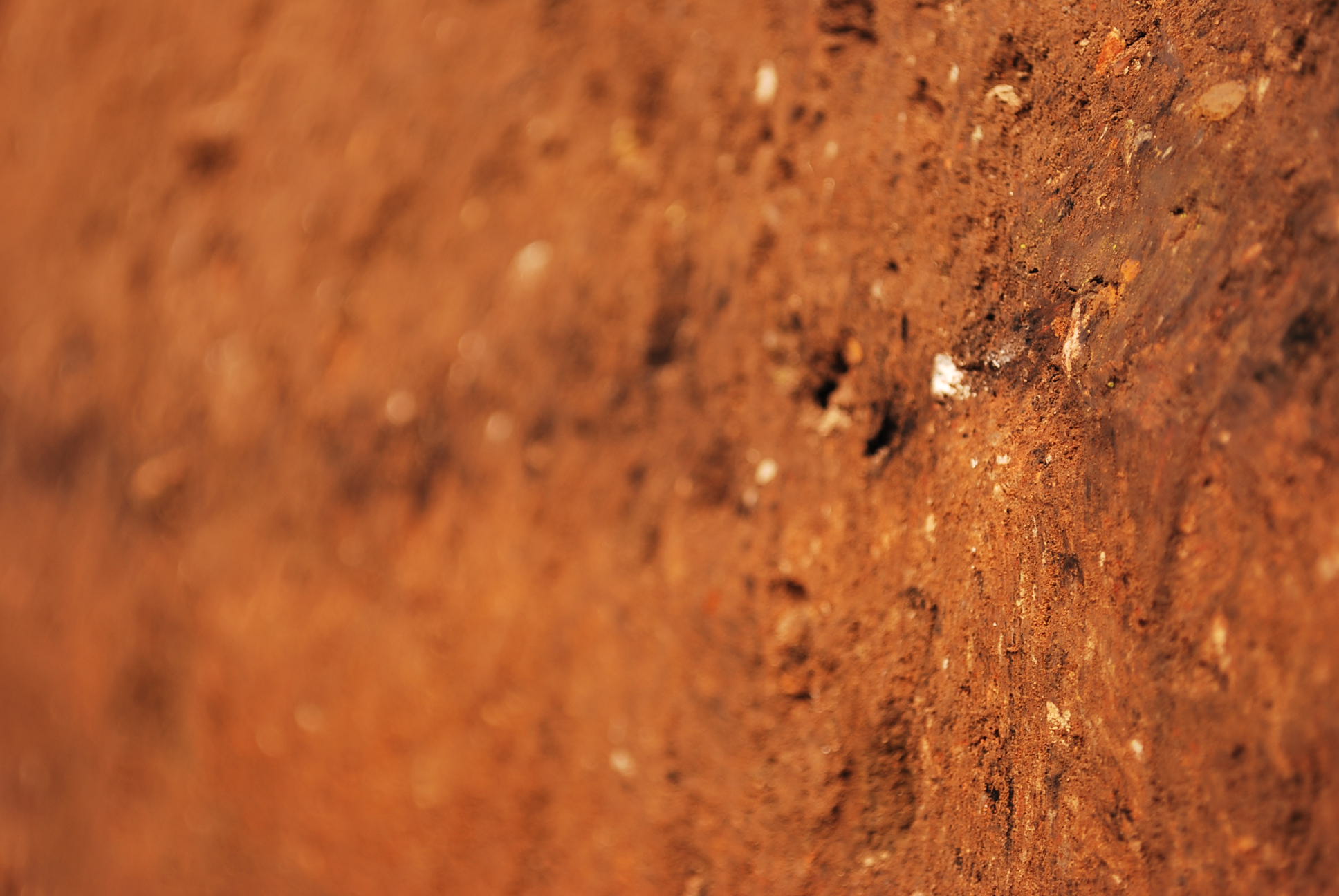 A photo using depth of field across the side wall of an archaeological trench, showing scattered objects in dark earth.