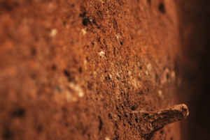 A photo using depth of field across the side wall of an archaeological trench, showing scattered objects in dark earth.