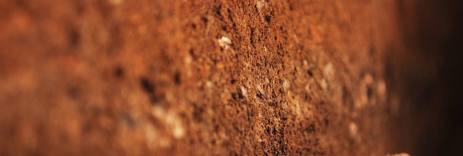 A photo using depth of field across the side wall of an archaeological trench, showing scattered objects in dark earth.
