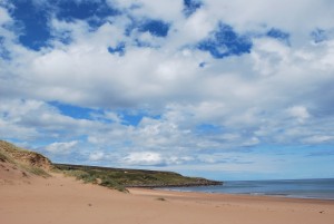 A landscape photo of buff coloured sand dunes to the left, fallen into a sandy shore which is empty of people or objects. In the distance are low grassy hills. The sky is pure vivid blue with perfect white fluffy clouds and the sea is calm.
