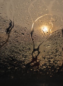 A macro photo of droplets of water on lass with cool sunset yellow light shining through.