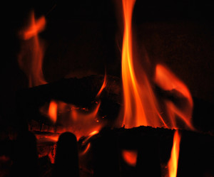A photo of the abstract shapes of red orange flames burning wood (barely seen) against a black background.
