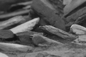A black and white abstracted photo showing rock slabs sitting at different angles, forming graceful patterns on an archaeological dig site.