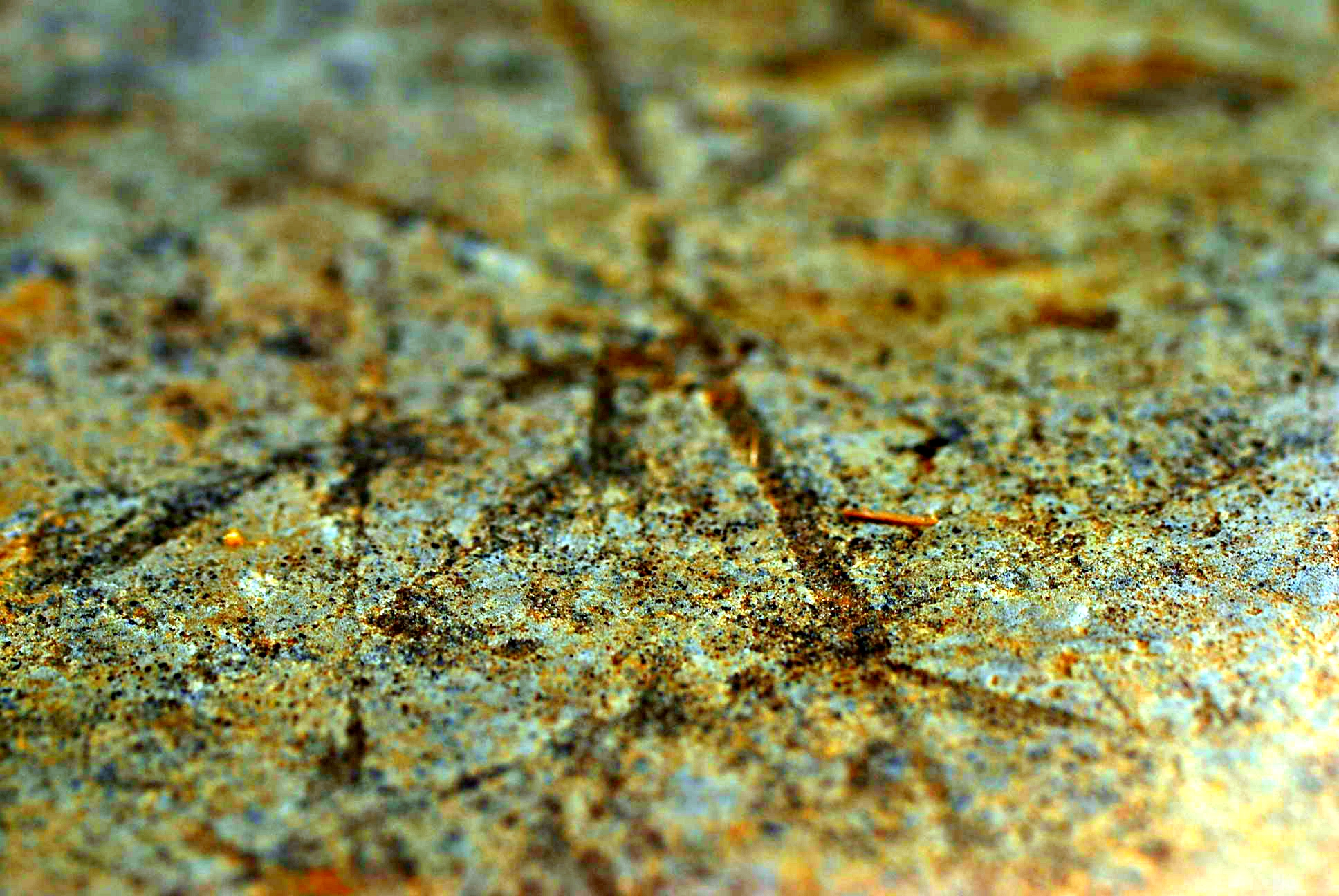 A macro photo showing the man made carved straight lines, running at different angles, in the surface of sandstone found at an archaeological dig.