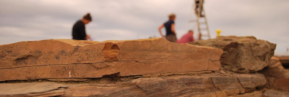 A landscape photo showing yellow flat sandstone rocks in the foreground, stacked to form a wall. In the background, distant, four figures of workers can be seen, out of focus, two stand, one bends over, the last stands on top of a set of step ladders.