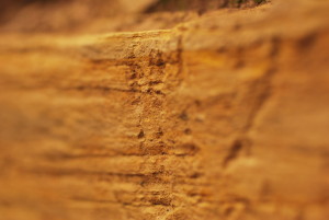 A detail photo of scored marks on the worked face of a block of yellow sandstone. The shot has shallow depth of field, focusing only on the marks.