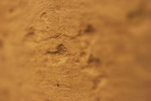 A detail photo of incised marks on the worked face of a block of yellow sandstone. The shot has shallow depth of field, focusing only on the marks.