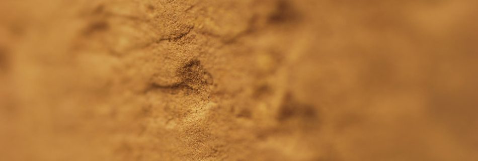A detail photo of incised marks on the worked face of a block of yellow sandstone. The shot has shallow depth of field, focusing only on the marks.