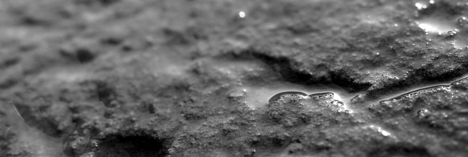 A close up black and white photo showing man made carved cups and lines in the surface of sandstone found at an archaeological dig.