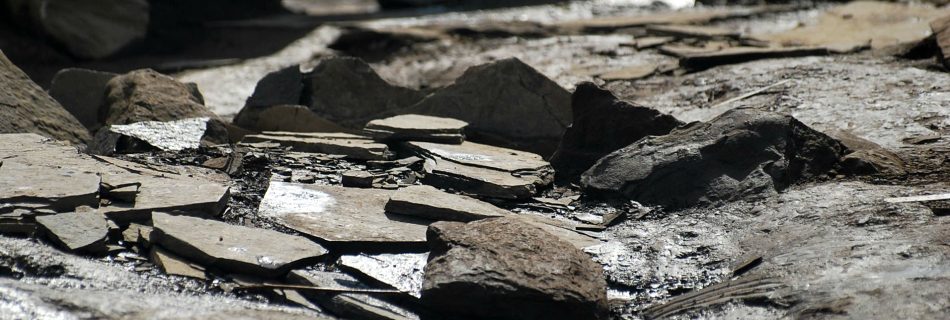 A detail photo of the bottom of a trench at an archaeological dig. The depression is scattered with broken pieces of flat sandstone slab, stocking out of wet mud which catches and reflects the sunlight after rain.