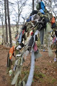 Heavily loaded branch at the Clootie Well