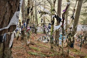 Adorned trees at the Clootie Well