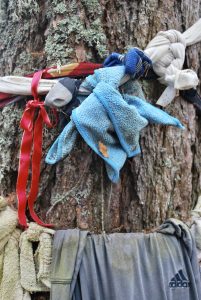 Microfibre cloth at the Clootie Well