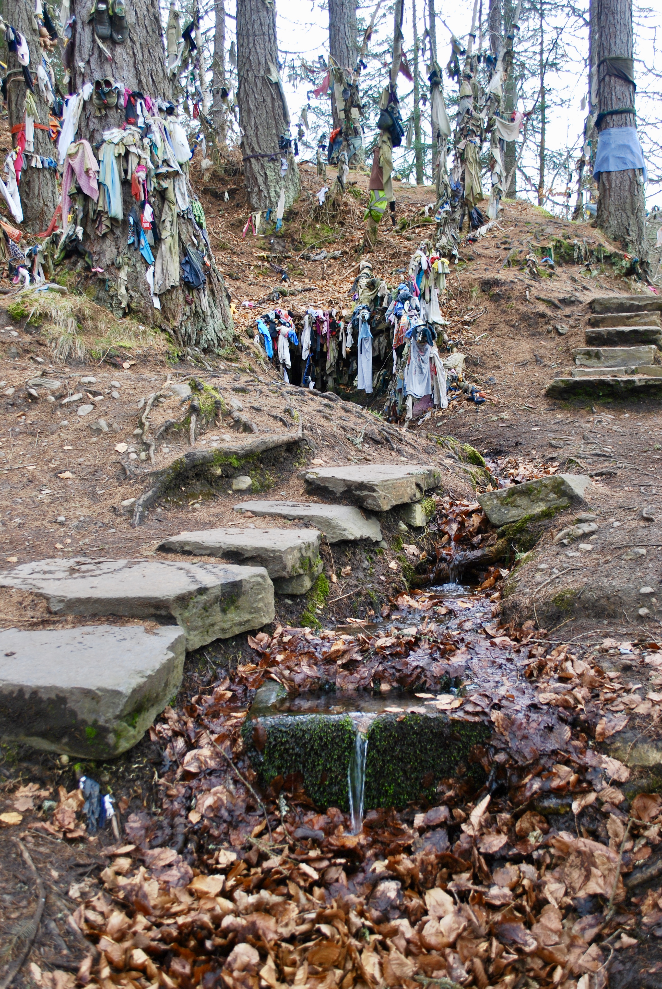 The Clootie Well, Black Isle, Scotland