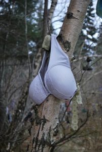 Bra at the Clootie Well