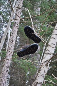 Shoes up a tree at the Clootie Well