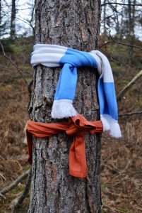 Scarf on tree at the Clootie Well