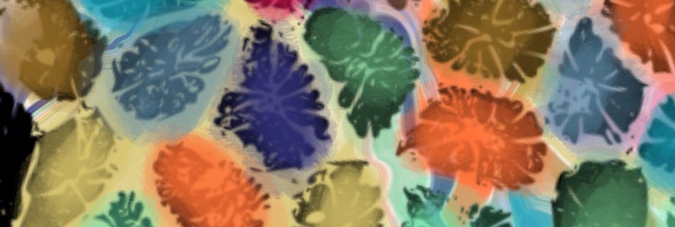 Isastrea oblonga coral, digitally colourised by artist Nicki MacRae. Star-like cells tessellate into a constellation pattern and are tinted in vivid hues.