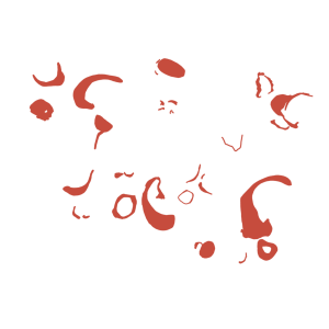 An individual layer from the making of 'Fossil Oyster Shells' digital artwork. A jumble of shapes infilled in coral orange - curls, and curved lines, rings and spots - on a transparent ground.