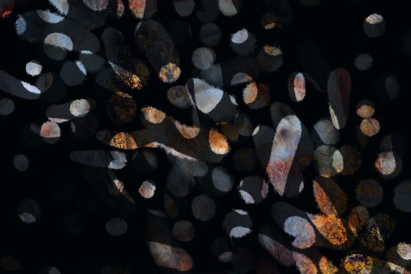 A digital abstract painting on black ground. Dots and dashes of semi transparent colour, like an ale stained glass window, overlay each other creating a complex mesh of marks that intensify each other. They run broadly top left to bottom right in a cloud like band.